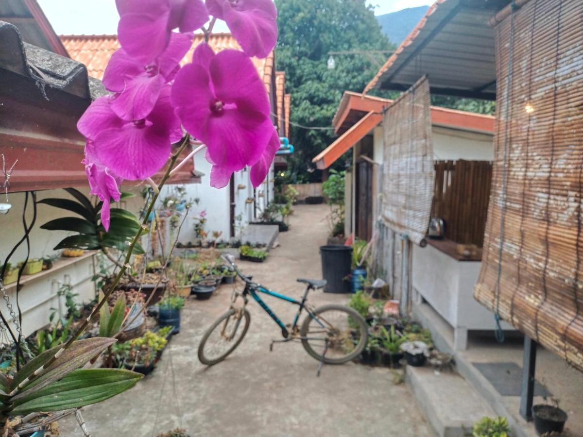 Pdv Guesthouse Muang Ngoi Екстер'єр фото